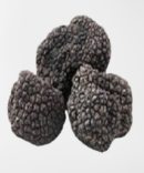black truffle mushrooms